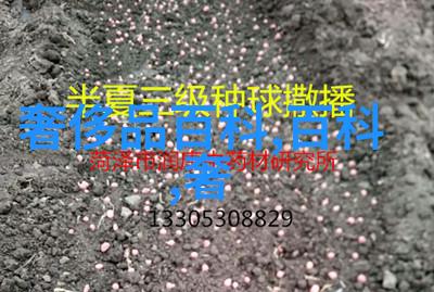 解锁波多野结衣的魅力探索数字内容世界中的角色与文化
