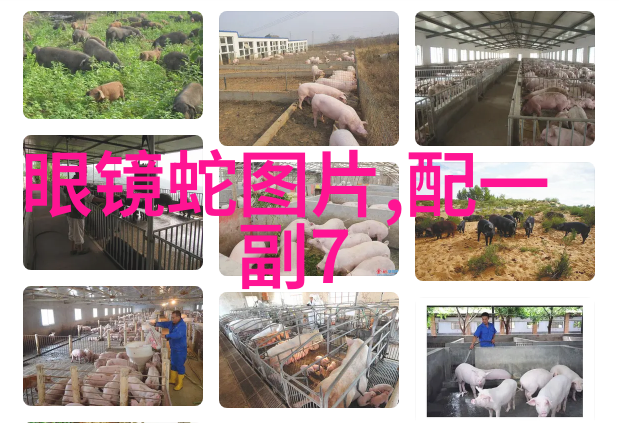 制造谋杀者-毒手计划揭秘制造冷血杀手的阴暗世界