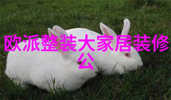 老师突袭Dance突然被调至最大视频播放教室舞蹈直播
