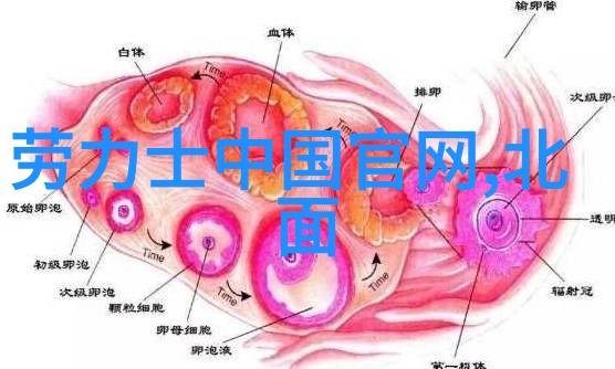 美发新秀一学就会的简易女生理发教程视频大全