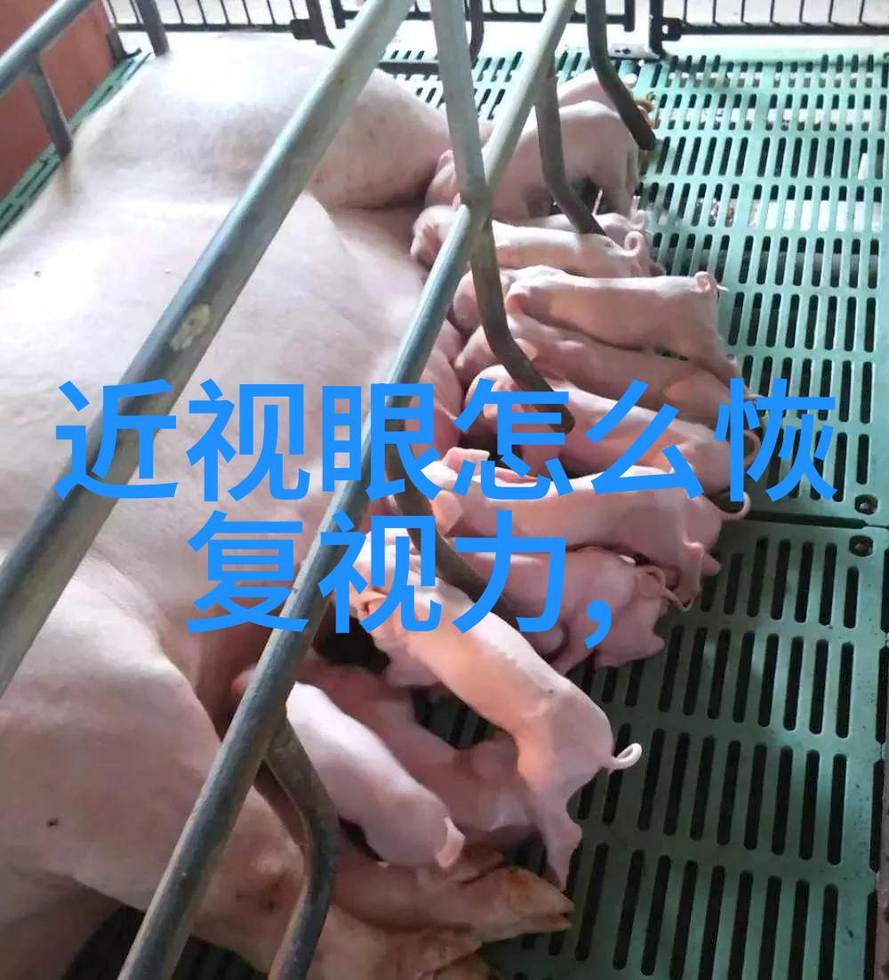 20毫米机炮火力支援的钢铁巨针
