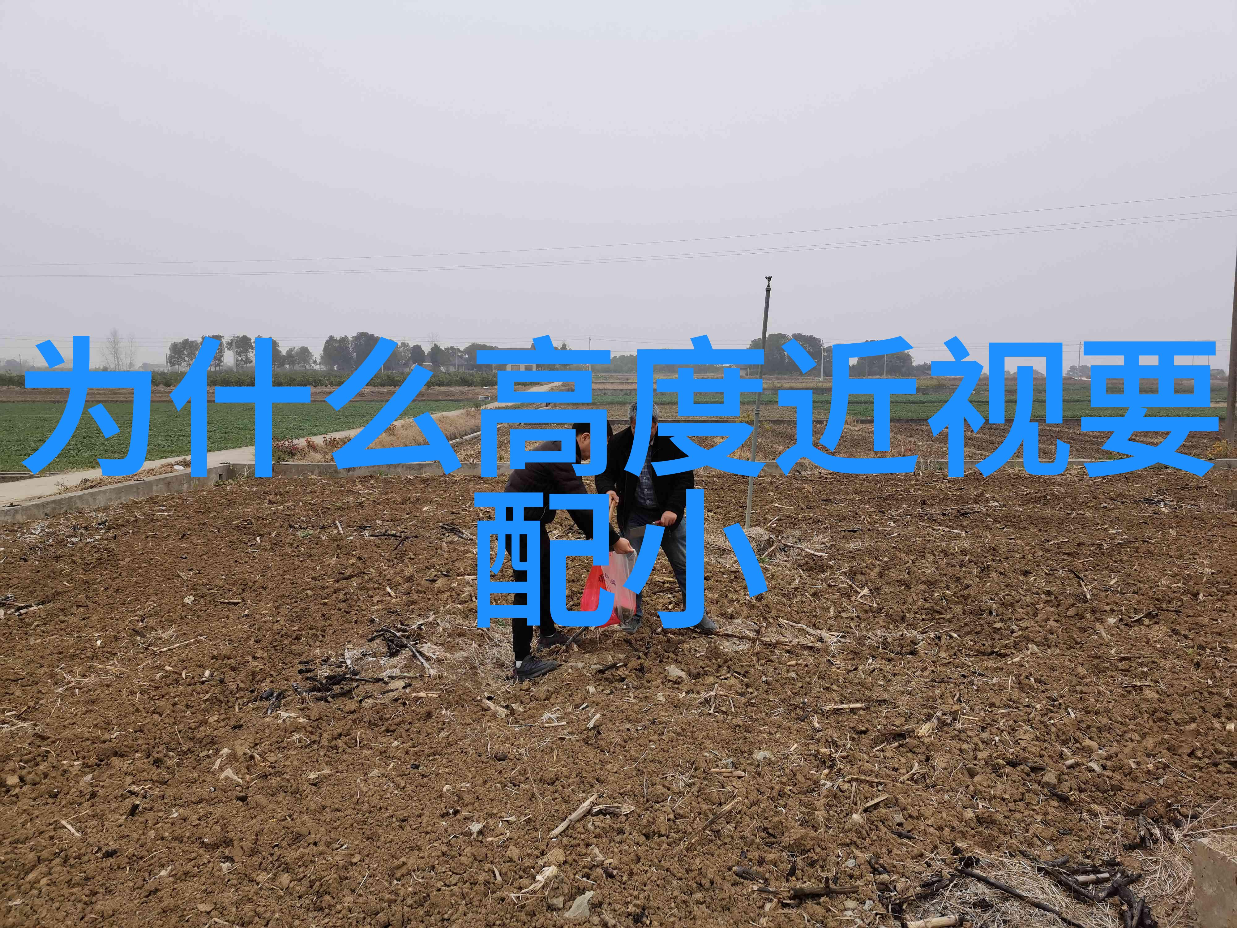 隐形眼镜透明翅膀的秘密飞翔
