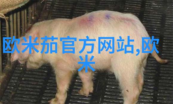 编发型女中长发我是如何用一根小梳子和点滴耐心让自己从头到尾的每一缕汗毛都臣服于我的