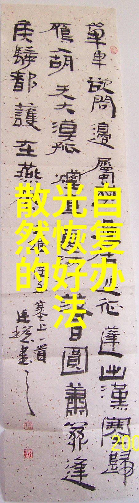 虚拟导航探索数字空间的新纪元