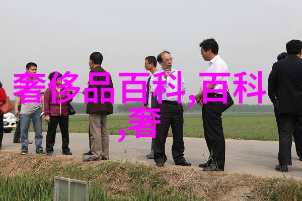 勇士的荣耀300英雄的不屈斗志