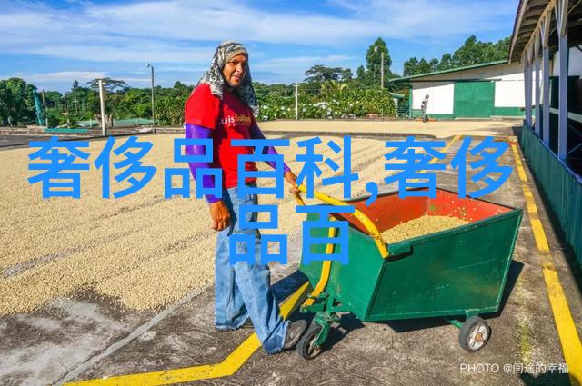 劳斯莱斯银魅般闪耀的保时捷卡宴颜色多姿多彩又各有千秋