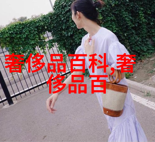 2022世界杯夺冠战足球最强队伍的巅峰对决