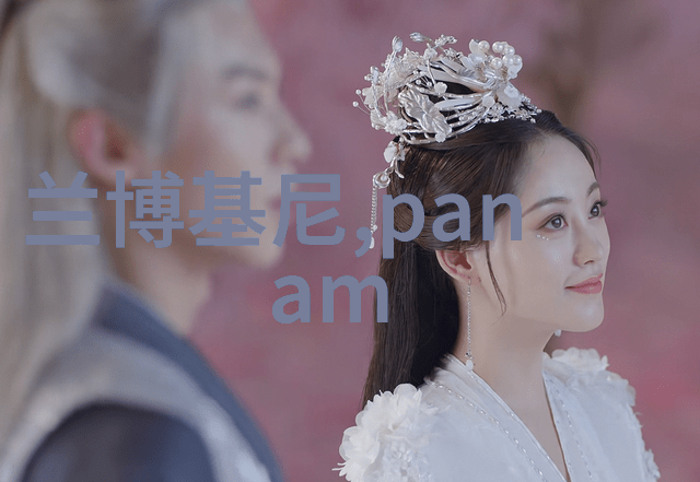 彩虹男孩GARY的绚烂世界探索他的视频奇迹