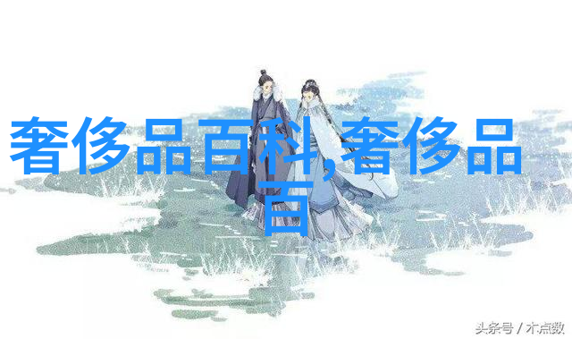 孪生兄弟3尴尬的探险