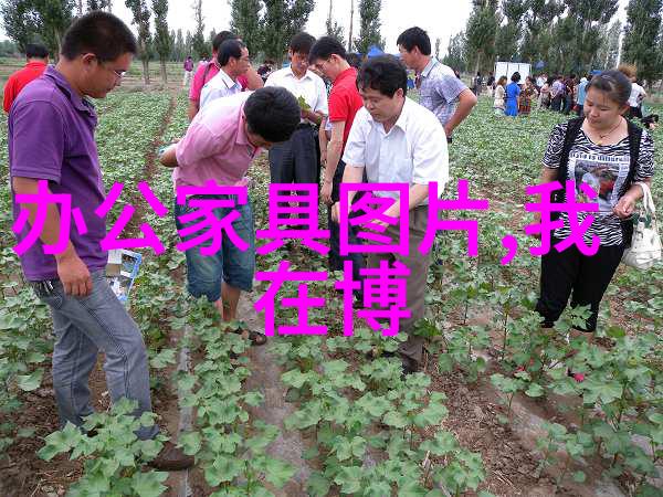 蜗居书城市角落里的隐秘生活