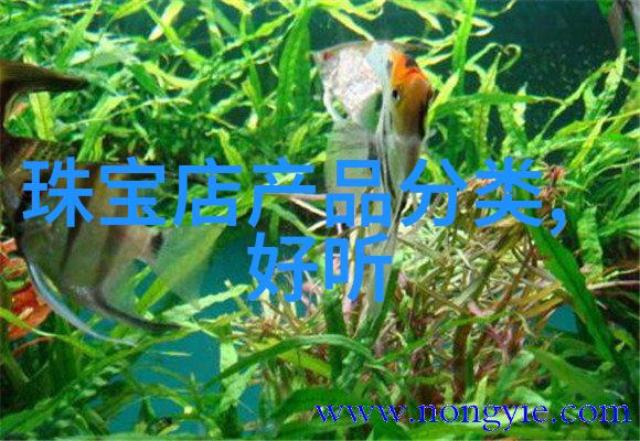 秋装潮男风尚TISSOT天梭表代言人共绘新篇章卡森臻我系列腕表