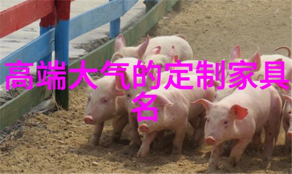 小说界的翅膀探索无删减阅读的奇迹与挑战