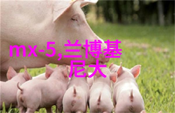高颜值的居家收纳给你想要的整洁和舒适