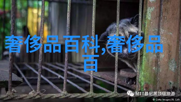 小莹客厅激情38章至50章一区 - 绽放的热情小莹客厅激动人心的后续篇章