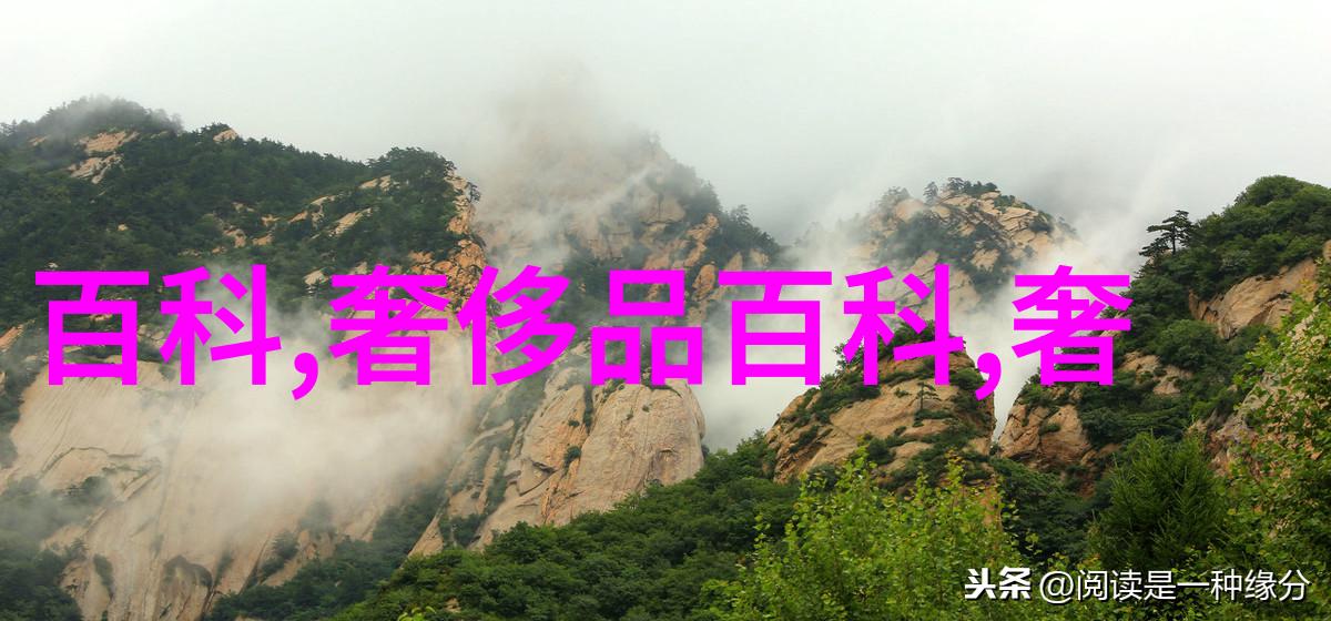 蕾丝边缘的艺术探索从手工到机器编织技术革新对蕾丝产业影响深远