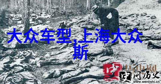 新一季度时尚指南揭秘今年最火的发型潮流