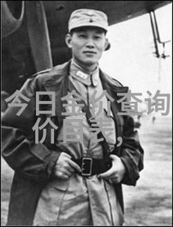 中国男孩与大卫的奇遇廖男男的跨文化冒险