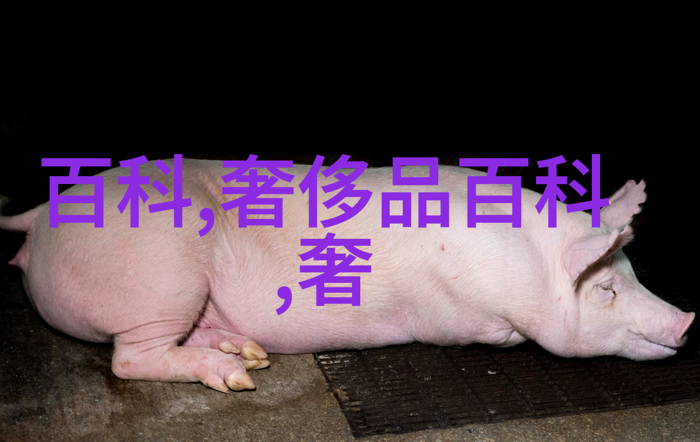 龙印战神觉醒古老传说中的勇者与力量的融合
