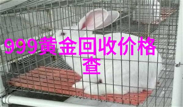 国相爷神算总结揭秘古代智者算命之术