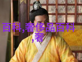 数字的回声111与不朽的记忆