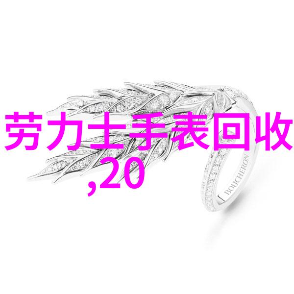 鸡冠下的英语奇遇教室里的插班生与语言的翅膀