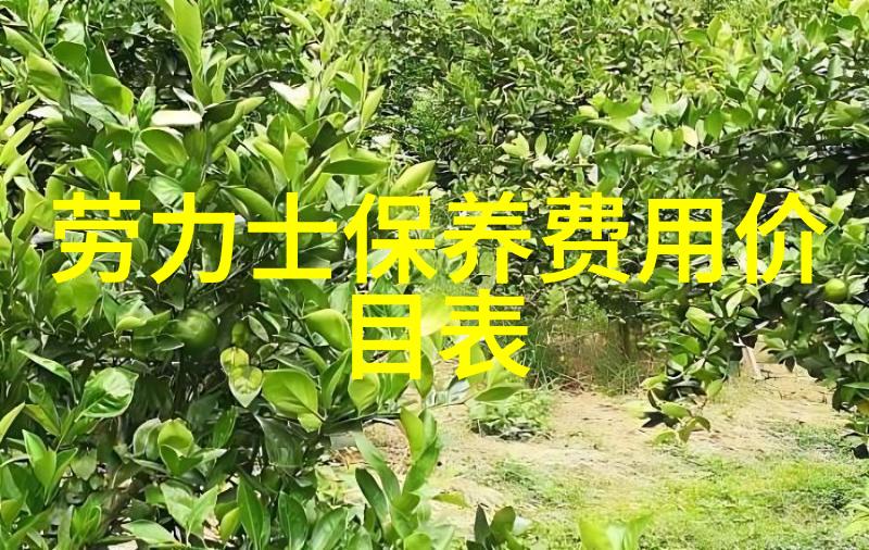 喜欢植物却怕麻烦这5种漂亮又好养的盆栽快快get起来