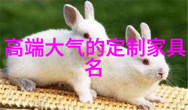 钻石戒指精美的钻石戒指