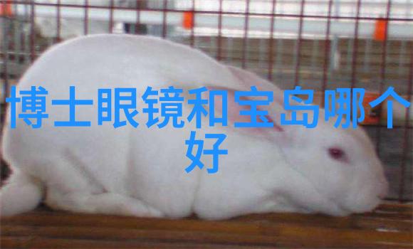 重生之黑道女王逆袭的血与火