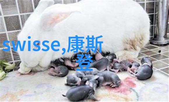 尝尝老师的大扇贝 - 海鲜美食探秘揭秘大扇贝的珍贵与美味