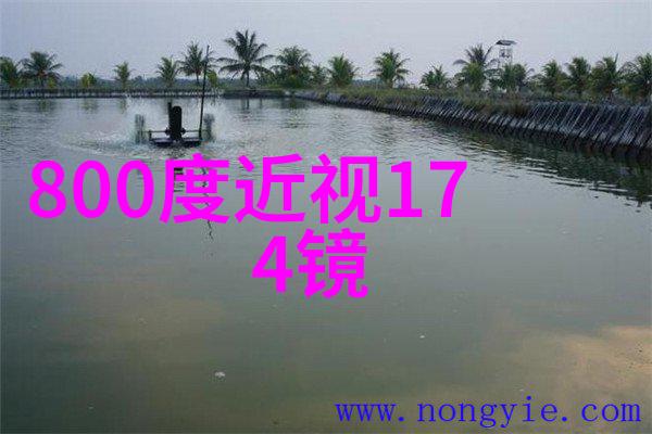 中年女性时尚指南秀发变革新篇章