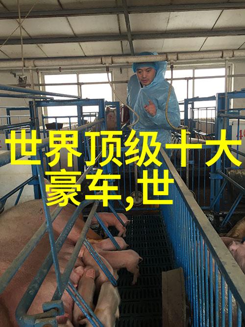 首饰品牌排行榜社会人士的十大喜爱之选