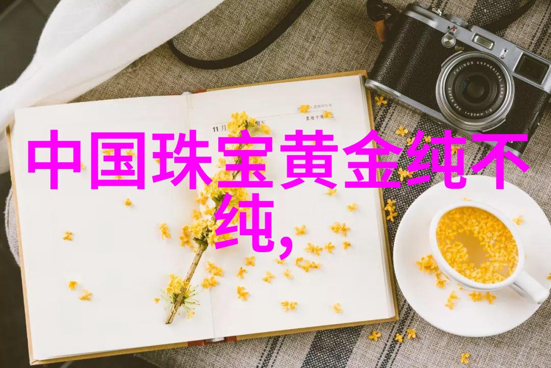简易半扎半披发型时尚又简单的双重编织秀发设计