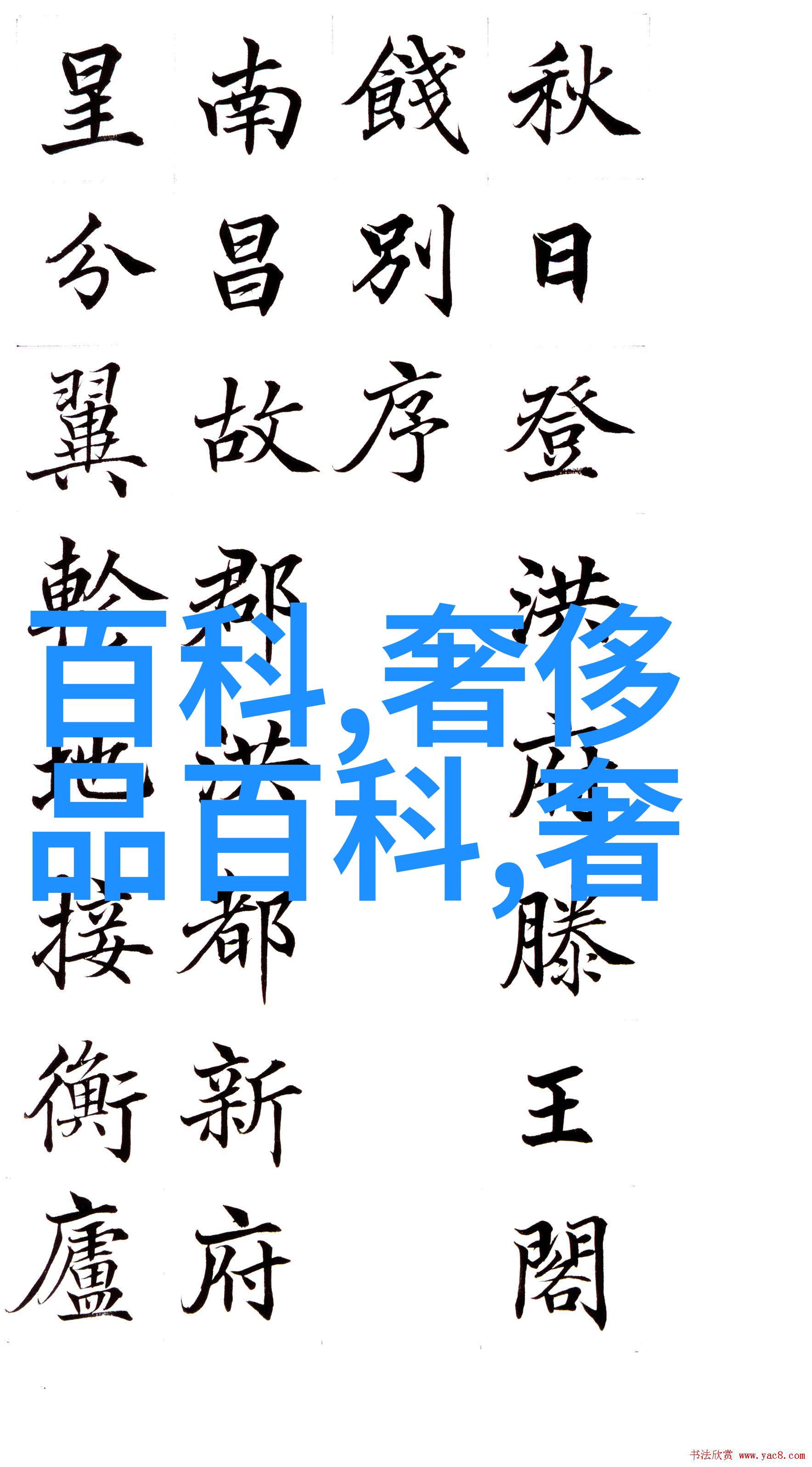 老阿姨的世界探索二区与一区的味道深度