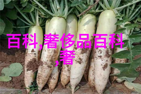 简易半扎双马尾风格是否适合短发女生试试看