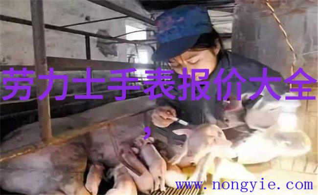 你是我的城池营垒我心中的秘密基地