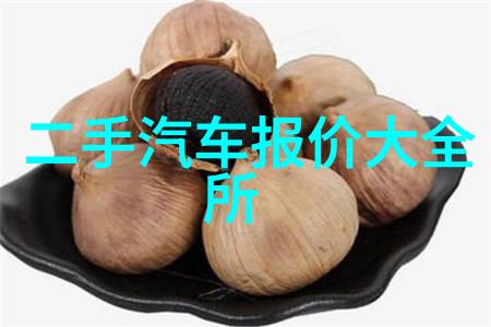 3115年科技未来探索3115年的科技奇迹和未来的可能性