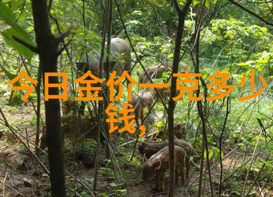 绣花入梦农女的锦绣田园