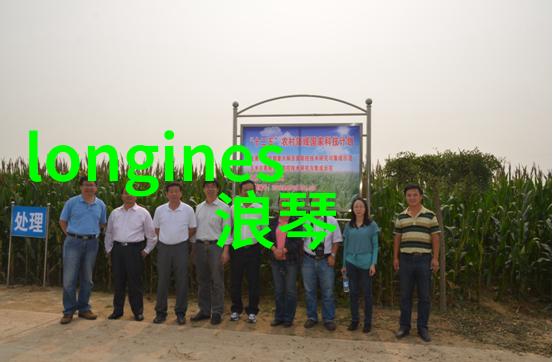 第五届海峡杯设计大奖赛家具沙发和谐共融的自然之选
