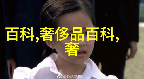 快速掌握美发技艺高效学习秘诀大揭秘