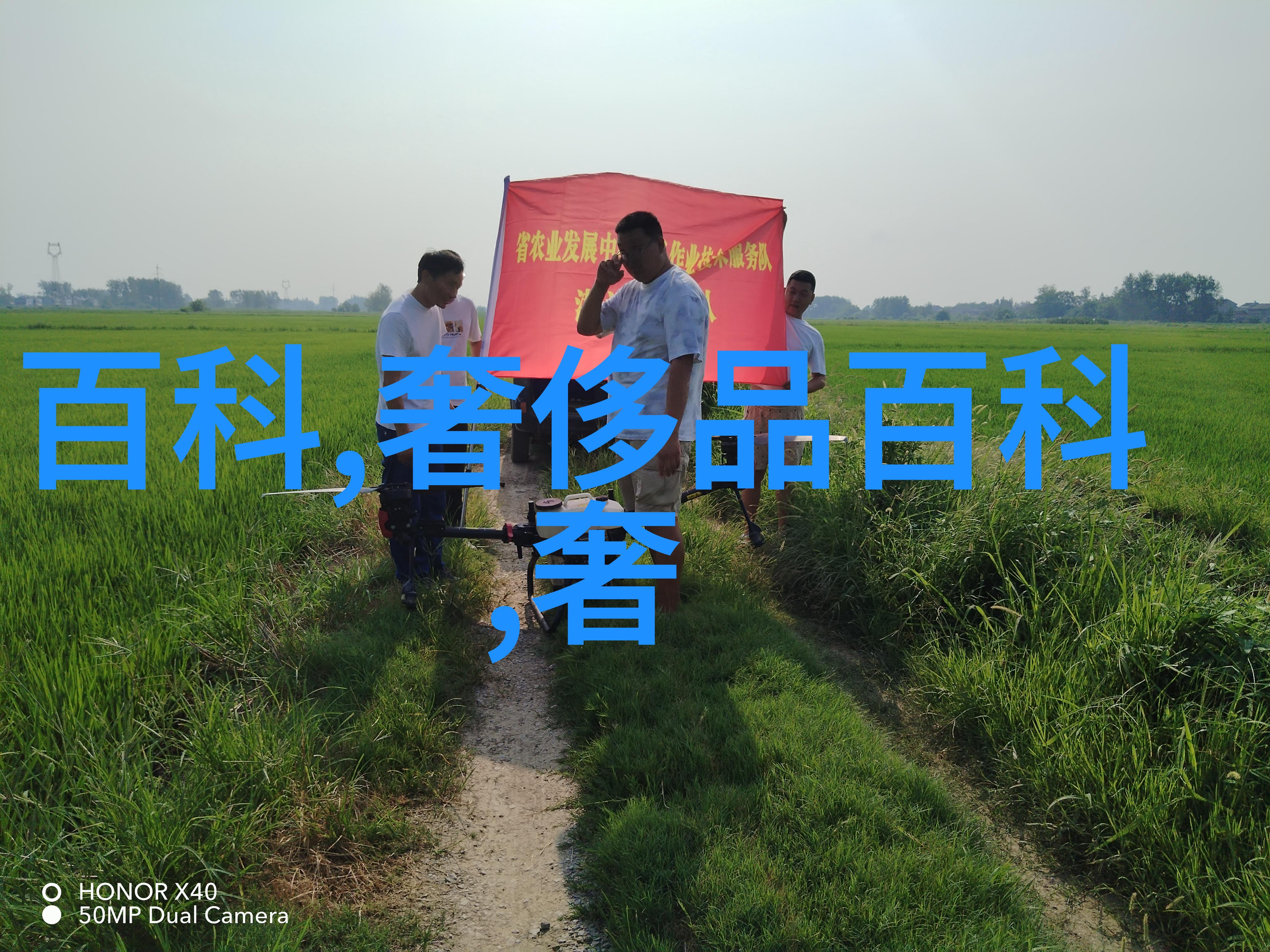 换个沙发垫迎接春天不仅简约清新还会让家居空间充满温馨感