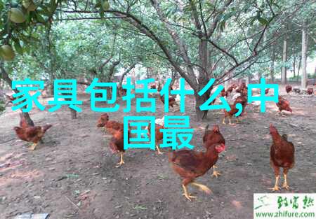 噪音大成洗衣机最大抱怨点海尔直驱斜立滚筒安静如比喻中的最流行装修风格图片