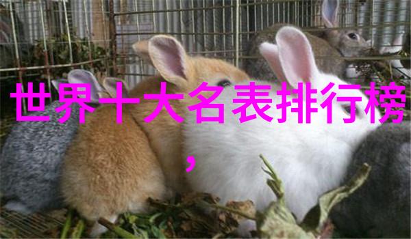 变身新人女孩一学就会的中长款剪法教学