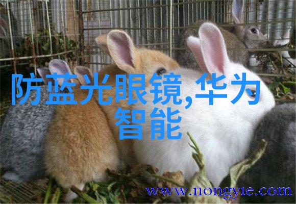 美发基础知识体系构建与实操技巧培训