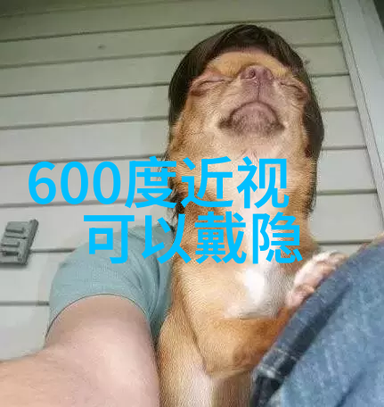 木马椅历史的秘密与现代设计的融合