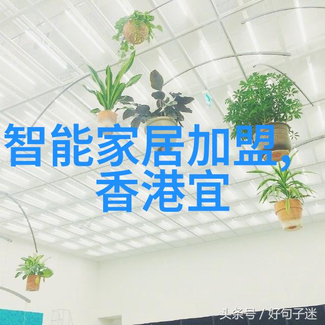 今年流行的家居小物特好用家家都给用得上