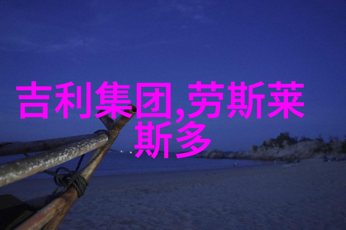 一生一世-永恒的承诺揭秘一生一世的爱情与承诺