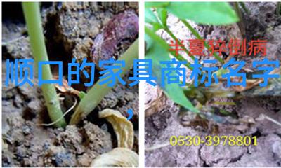 秋装潮男服装搭配哪种风格更适合你
