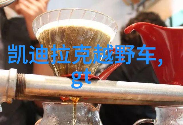 老阿姨哔哩哔哩B站肉片茄子芒果我来教你怎么做那道超级美味的家常肉片茄子芒果