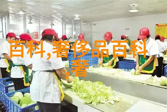 春日优雅V领针织衫的时尚魅力