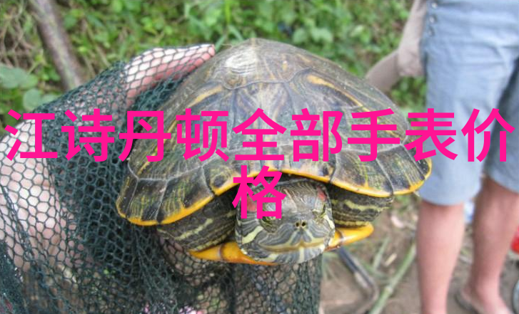 蛇瓜之谜村庄的秘密与森林里的恐惧